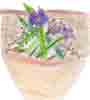 [Flower Pot - drawing by Lucy]