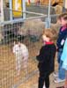[Clara, Lucy and baby Alpaca at Royal Adelaide Show]