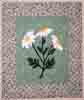 [Daisy Applique]