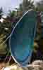 [Giant Paua Shell - Riverton]