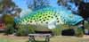 [Giant Murray Cod in Swan Hill]