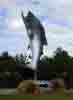 [Giant Trouth at Rakaia (South Island, New Zealand)]