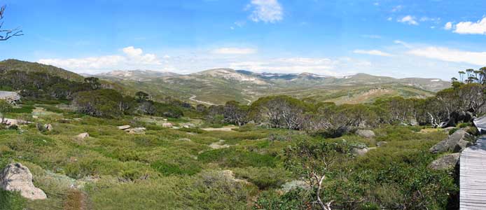 [Mt. Kosciuszko and Main Range from Charlotte Pass]