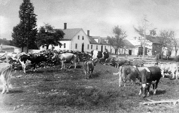 [The Plummer Farm 1936]