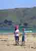 [Collecting shells near Nugget Point]