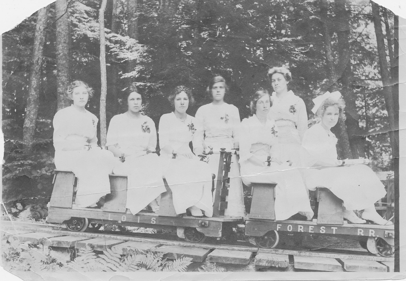[Union Forest Railway Postcard]