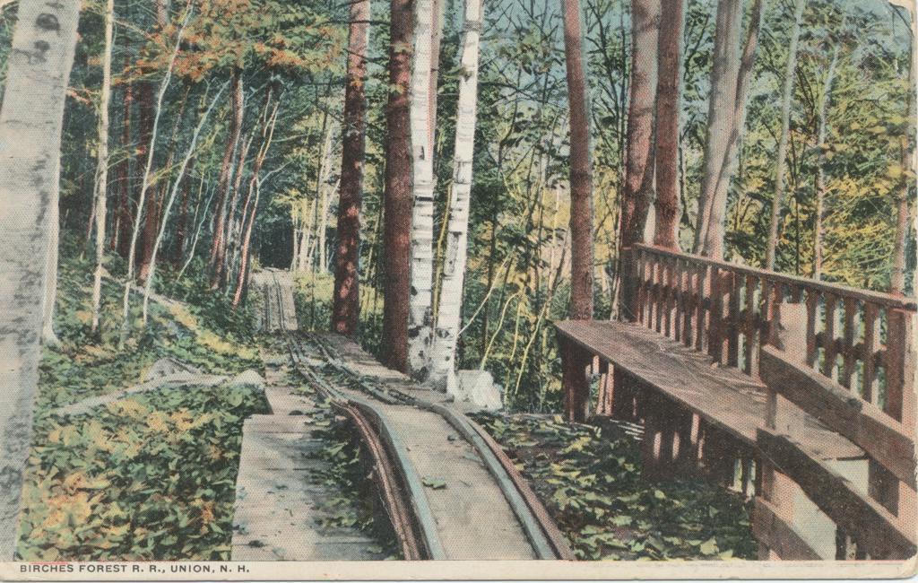 [Union Forest Railway Postcard]