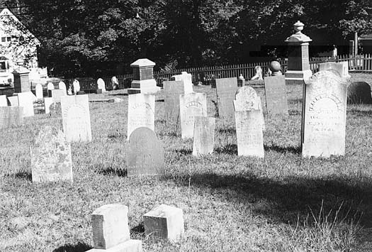 [Village Cemetery in 1995]